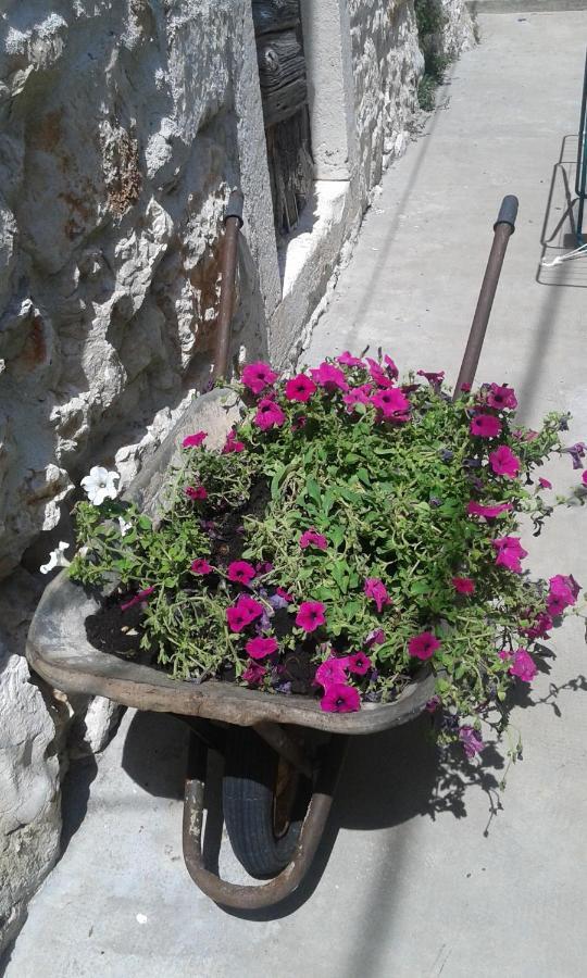 Holiday Gariful Milna (Brac)