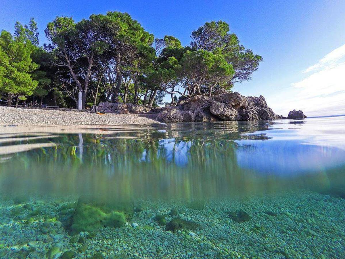 Holiday Gariful Milna (Brac)